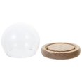 thumbnail image 4 of 1pc Micro Landscape Glowing Glass Dome Creative Eternal Flower Glass Cover, 4 of 4