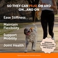 thumbnail image 2 of Pet Honesty Hip + Joint Supplement for Dogs with Glucosamine Chondroitin - MSM, Turmeric & Collagen Soft Chews - Joint Function, Stiffness, and Mobility Support (Bacon, 90 Ct), 2 of 8