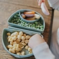 thumbnail image 6 of Silicone Travel Portable Children's Plate Suction Bottom-Sage Green, 6 of 9