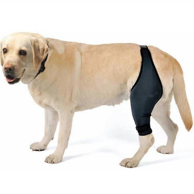 Dog Knee Brace For Acl, Knee Cap Dislocation, Arthritis - Keeps The Joint Warm - Extra Support - Reduces Pain And Inflation