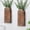Brown, variant on Wooden Wall Planter Vase Set of 2, Boho Hanging Planter for Indoor Plants & Flowers, Natural Wood Wall-Mounted Planters for Art Home Decor - Living Room, Bedroom, Bathroom, Patio (Brown)