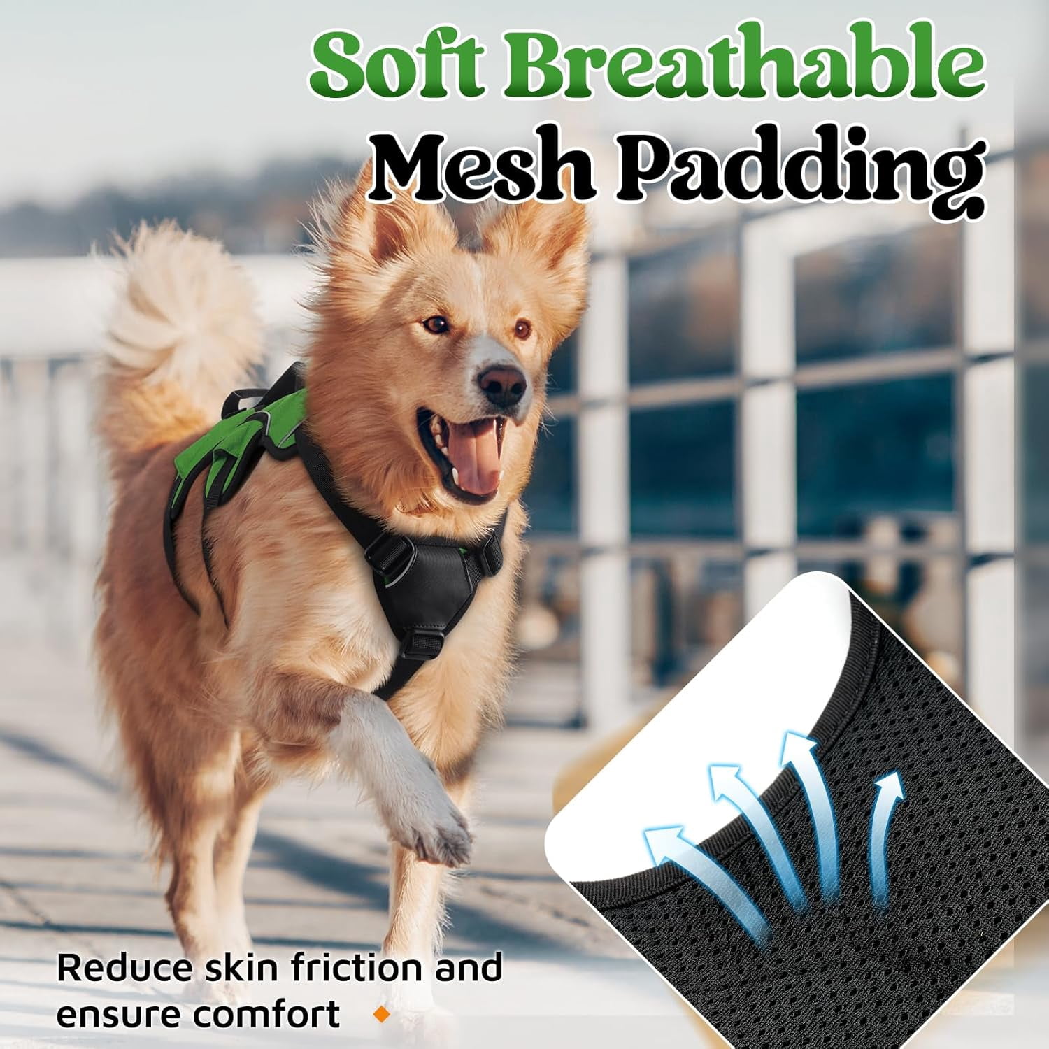 rabbitgoo Escape Proof Dog Harness, Soft Padded Full Body Pet Harness, Reflective Adjustable No Pull Vest with Lift Handle and Lesh Clip for Large Dogs Walking Hiking Training, Green