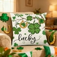 thumbnail image 4 of romoty St. Patrick's Day Throw Pillow Cover, 18 x 18 Inch Lucky Irish Shamrock Cushion Case, Green Farmhouse Pillowcase Decor for Couch and Sofa, 4 of 6