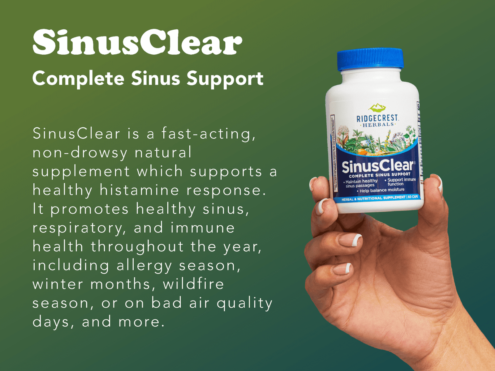 RidgeCrest Herbals SinusClear, Complete Formula for Sinus and Nasal Health with Mullein Leaf, Bromelain, Vitamin C, and Zinc, for Healthy Mucus, Immune & Respiratory Support, (60 Veg Caps, 30 Serv)