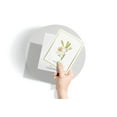 thumbnail image 5 of Twigs Paper - Elegant Flowers Greeting Card Set - 12 Blank Thank You Cards With Envelopes - 4 Floral Card Designs - Eco Friendly - Made in USA, 5 of 8
