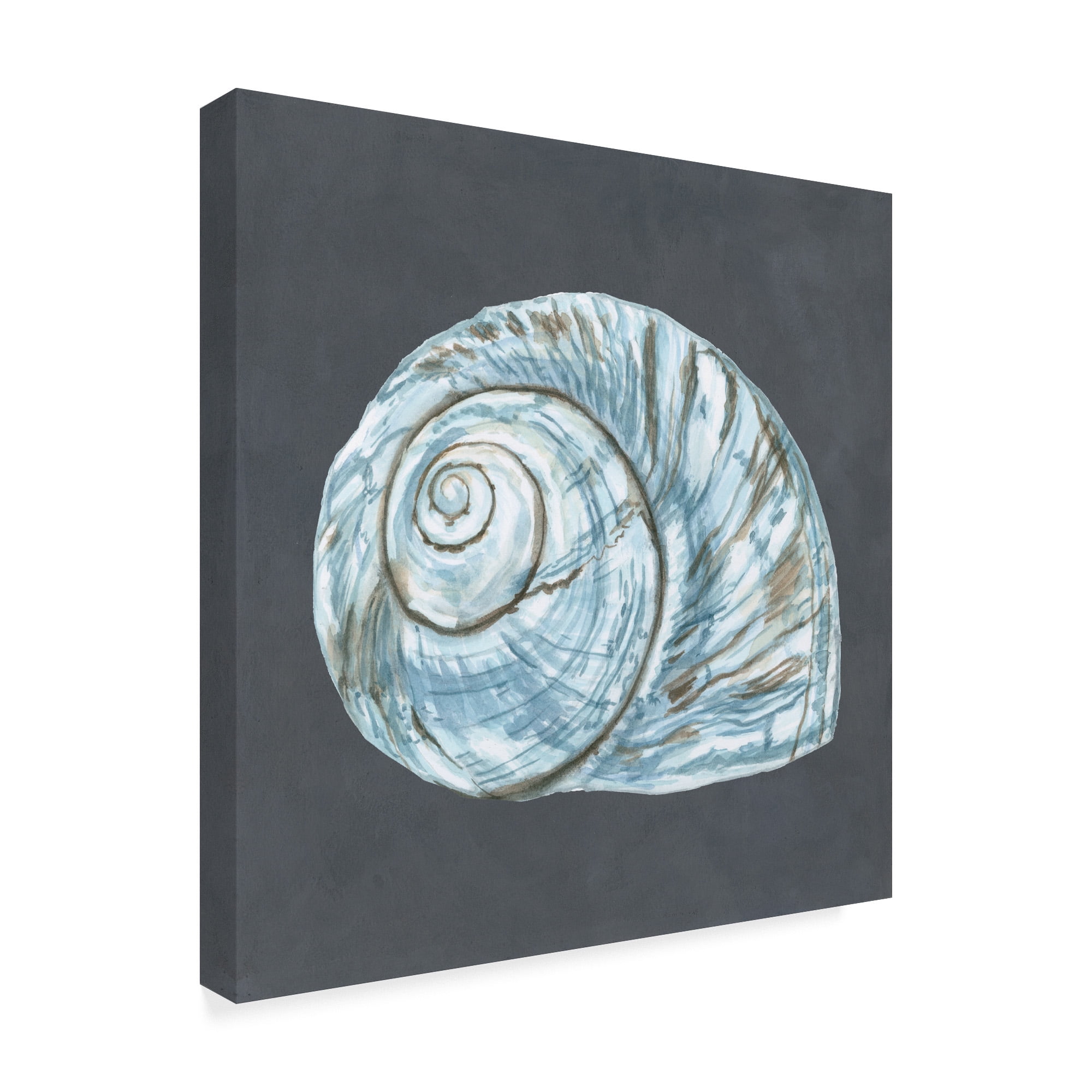 Trademark Fine Art 'Shell on Slate VIII' Canvas Art by Megan Meagher