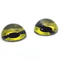 thumbnail image 2 of High Domed Green Sea Turtle Glass Eyes, 2 of 5