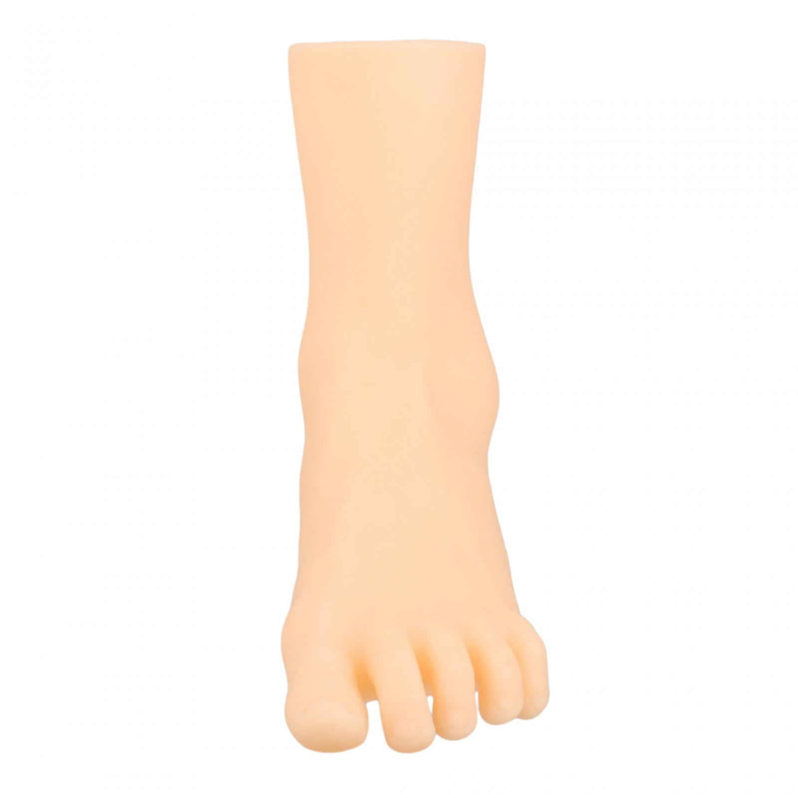 TOOYFUL 2x Elegant Female Foot Mannequin for Shoe And Sock Exhibition