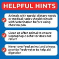 thumbnail image 4 of Bark&Spark Coprophagia Deterrent Chews for Dogs - Stop Poop Eating - Probiotics, Enzymes & Digestive Health - Chicken (120 ct), 4 of 6