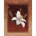 thumbnail image 2 of Rhyan, Vivien 12x14 White Modern Wood Framed Museum Art Print Titled - Tiger Lily, 2 of 4