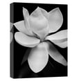 thumbnail image 4 of Masterpiece Art Gallery Magnolia I White by Michael Harrison Canvas Art Print, 4 of 4