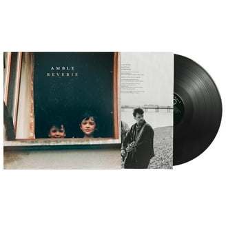 Wicked LPレコード vinyl Wicked: Wicked The Soundtrack Vinyl 2LP – TurntableLab.com