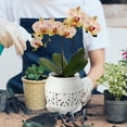 thumbnail image 7 of EFISPSSS 6 inch ceramic orchid pot with hole and tray -Peacock White, 7 of 7