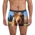 thumbnail image 1 of Balery Close-Up Curious Squirrel Calzoncillos bóxer para hombre, ropa interior de algodón suave y transpirable con cinturilla de nailon-XX-Large, 1 of 5