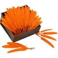 thumbnail image 5 of 120pcs Orange Goose Cochettes Feather Natural Bulk 4-6 inch 10-15cm for Wedding Party Christmas Halloween Decorations DIY Crafts Goose Cochettes Feather, 5 of 12