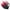 009 Multicolor, variant on Mnyycxen Women's Wireless 3 Pack Bralettes Full Coverage SeamlessComfort Bras Ultra-thin Breathable Pull Up Bra