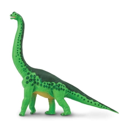 Safari Ltd. Brachiosaurus Figurine - Lifelike 9" Dinosaur Figure - Educational Toy for Boys, Girls, and Kids Ages 3+