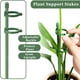 thumbnail image 3 of Paquete de 20 Estacas de Soporte para Plantas Ajustable JardíN Tallo úNico Estaca de Soporte para Flores Florales Anillos de Soporte para Jaulas para Plantas, 3 of 7