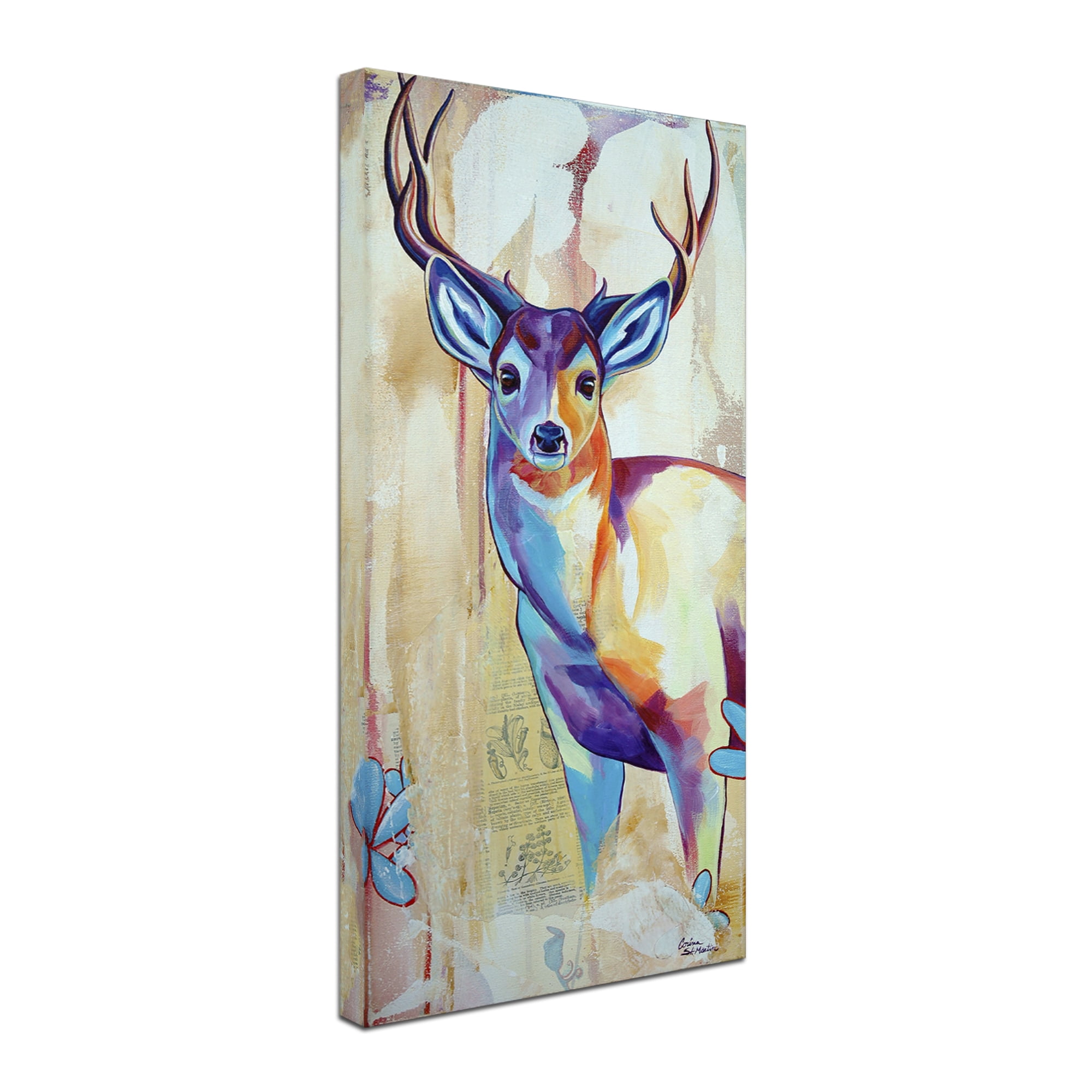 Trademark Fine Art 'White Tail Deer' Canvas Art by Corina St. Martin