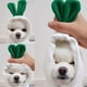 thumbnail image 3 of Sudadera con capucha para perro: abrigo de suéter básico para perro con forma de rana linda, chaqueta cálida para mascotas, ropa para clima frío, ropa de abrigo para gatos, cachorros (rábano blanco, XS) brillar Electrónica, 3 of 5