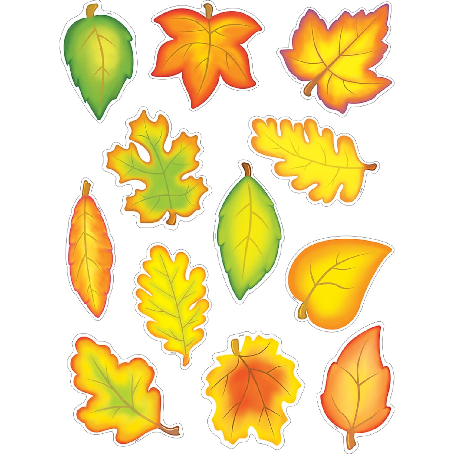 Teacher Created Resources 6 x 6 Fall Leaves Accents 30 Pack (TCR4419)