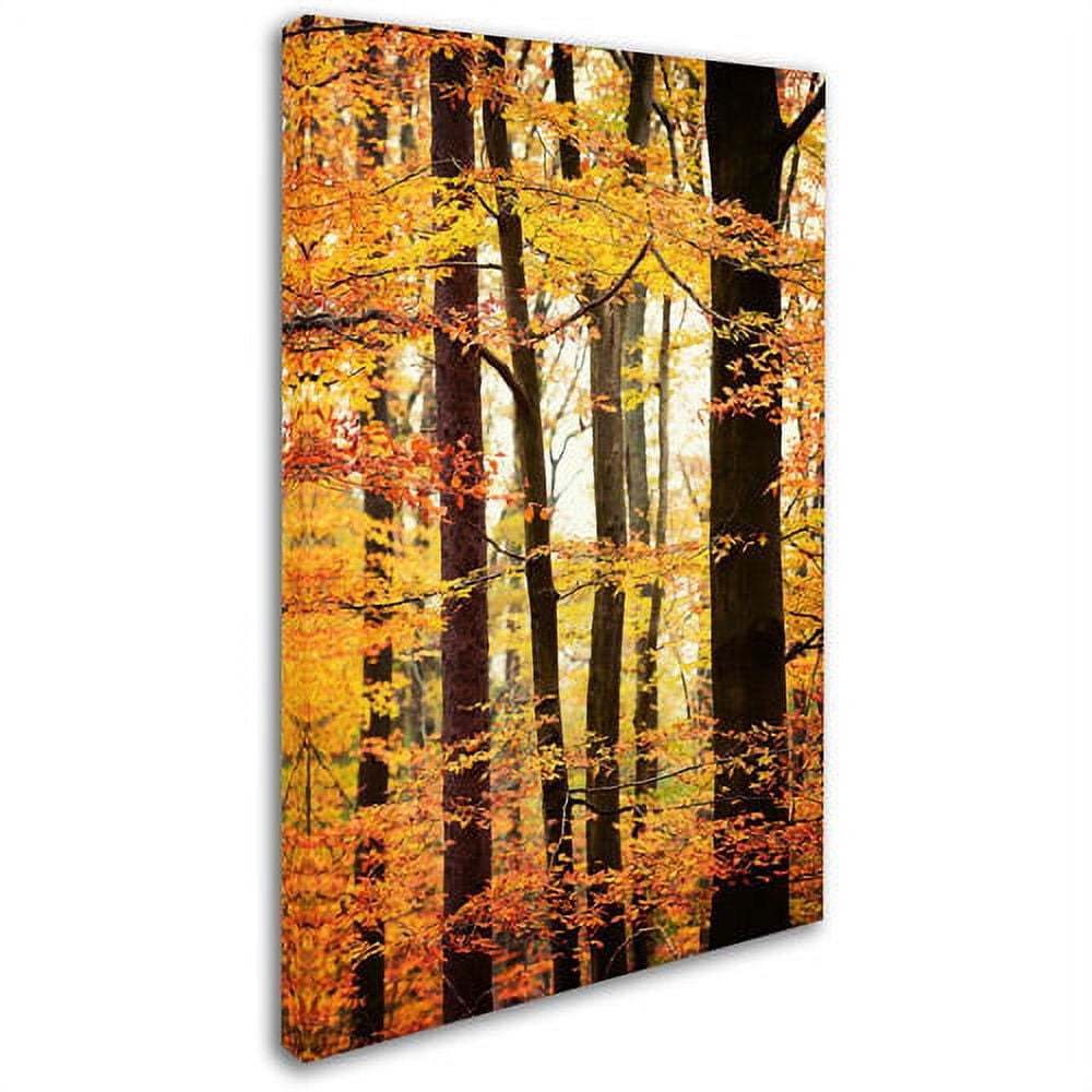 Trademark Fine Art "Between Us" Canvas Art by Philippe Sainte-Laudy