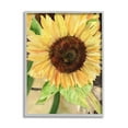 thumbnail image 5 of Stupell Industries Summer Sunflower with Yellow Honey Bee Detail Black Framed, 24 x 30, Design by Melissa Hyatt LLC, 5 of 5