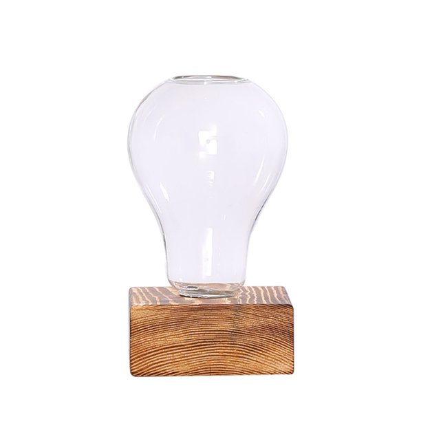 XINYTEC Desktop Glass Planter Bulb Vase Hydroponics Plants Container