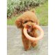 thumbnail image 4 of Discos voladores para mascotas, anillo de entrenamiento para perros, extractor resistente a mordeduras, juguete flotante para cachorros, juegos interactivos al aire libre, suministro de productos para jugar (naranja) oso de fresa Electrónica, 4 of 4