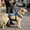2XL, variant on Dog Lift Harness Adjustable Full-Body Support Sling Breathable Support Vest for Senior Active Dogs Walking Climbing Outdoor Adventures