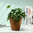 thumbnail image 5 of LOLIPPYY 1Pack Sand Yellow Resin Plant Pot for Indoor Flower Planting 11.8X5.8In, 5 of 8