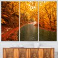 thumbnail image 1 of Autumn Light Trails on Road, 1 of 1