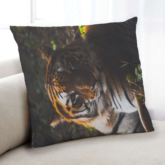Ahgly Company Animals Tiger Indoor Throw Pillow, 18 inch by 18 inch