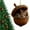 D, variant on Forest Animal Acorn Ornaments, Animal Ornaments for Woodland Christmas Tree, Forest Animal Acorn Decoration, for Animals Lovers Gifts, 2D Acrylic Hanging Ornament Home Party Décor