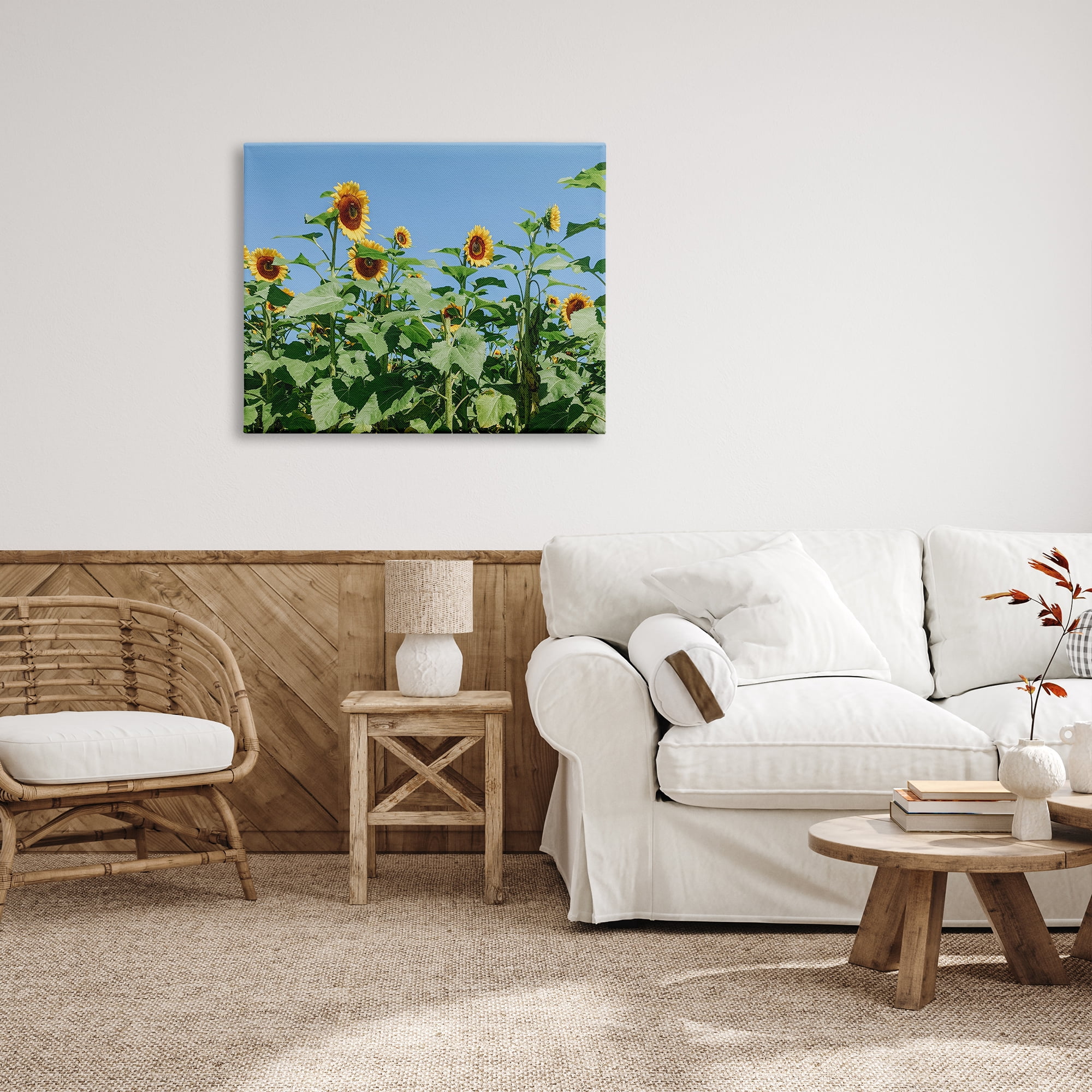 Stupell Industries Tranquil Country Sunflower Meadow Sunny Daytime Blooms Photograph Gallery Wrapped Canvas Print Wall Art, Design by Kali Wilson