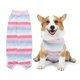 thumbnail image 1 of Ropa Linda Para Perros De Compañía, Ropa De Destete, Traje, Estampado De Rayas De Colores, Ropa Para Mascotas, Mono Serendint PT002586-02, 1 of 6