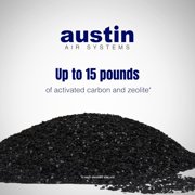 Austin Air FR400A Air Purifier Replacement Filter for HealthMate HM400, Black