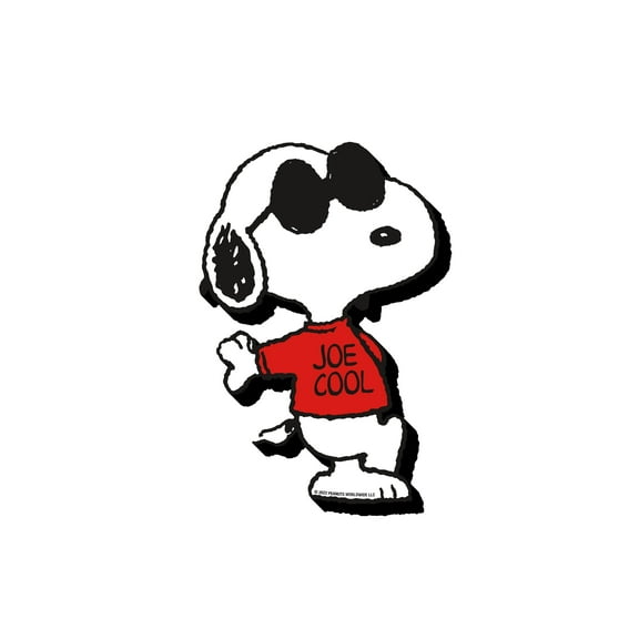 Peanuts Joe Cool Funky Chunky Magnet