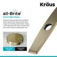 thumbnail image 1 of Kraus DP02SFACB Deck Plate, Kitchen Faucet, Spot Free Antique Champagne Bronze, 1 of 1