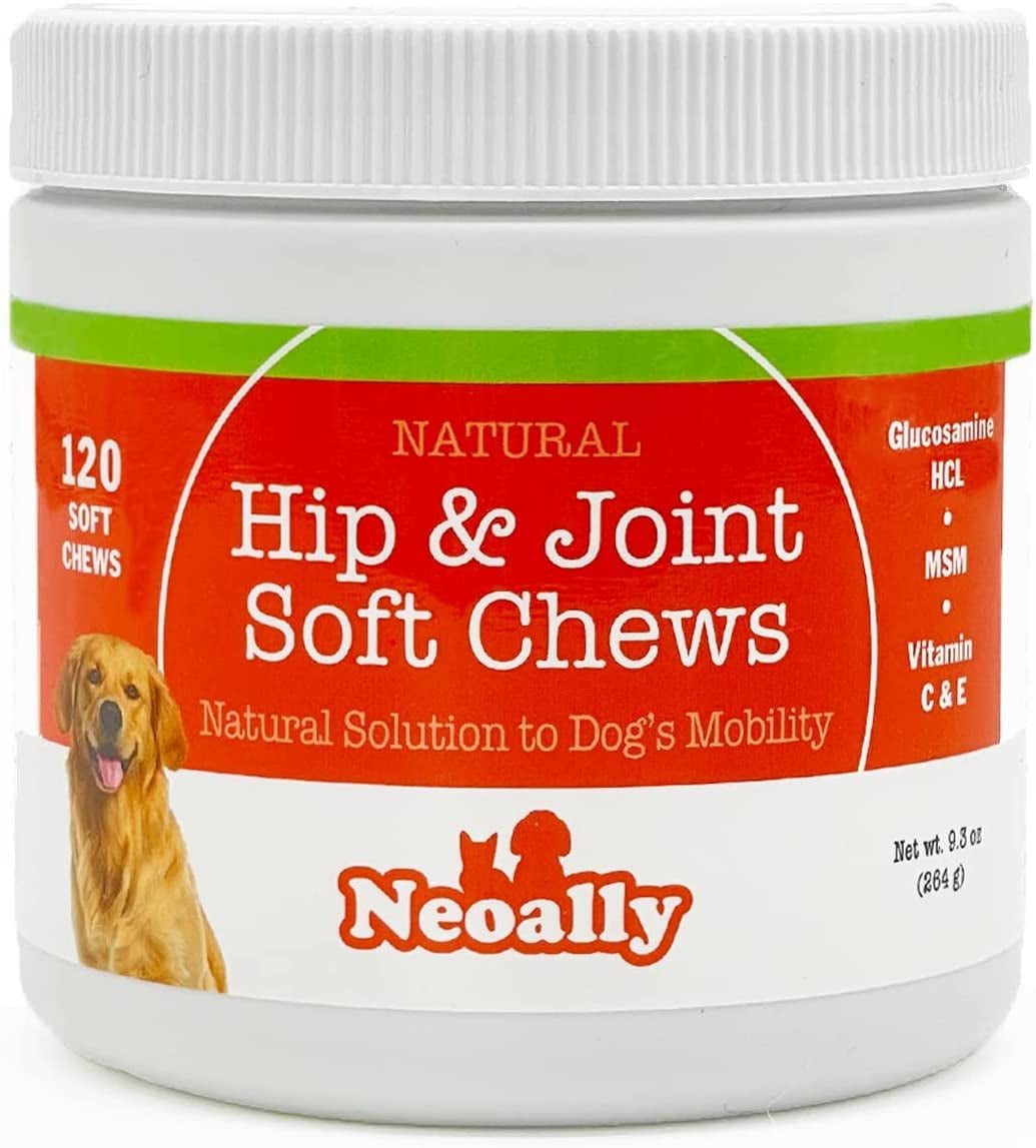 best hip dysplasia supplements for dogs