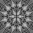 thumbnail image 1 of Ahgly Company Machine Washable Indoor Square Transitional Black Area Rugs, 4' Square, 1 of 7