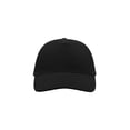 thumbnail image 5 of Atlantis Liberty Five Heavy Brush Cotton 5 Panel Cap, 5 of 5