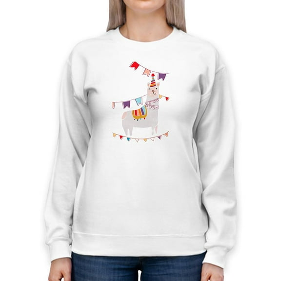 Party Animals Collection B. Sweatshirt Women -June Erica Vess Designs, Female 5X-Large
