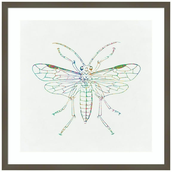 Amanti Art Dragonfly Drawing Wood Framed Wall Art Print