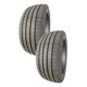 thumbnail image 1 of Paq 2 Llanta 275/40R20 106W SAFERICH FRC866, 1 of 2