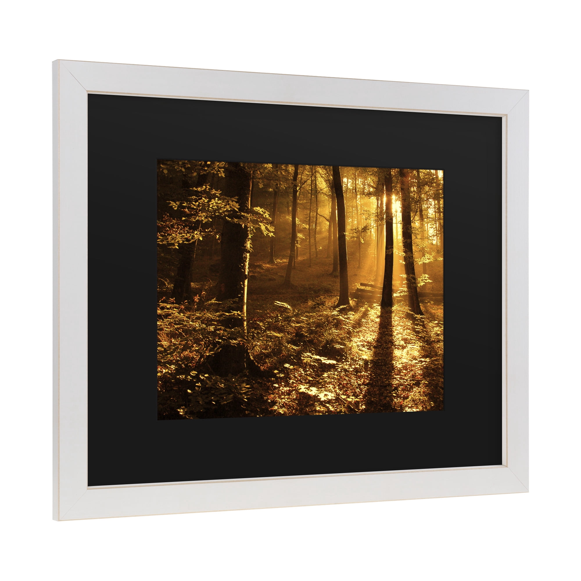 Trademark Fine Art 'Morning Light' Canvas Art by Philippe Sainte-Laudy