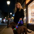 thumbnail image 6 of FeiFu LED Light-Up Dog Leash USB Rechargeable Luminous Traction Rope Adjustable Reflective Pull Strap Glow in the Dark Safety Leash for Night Walking, 6 of 6