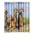 thumbnail image 1 of ABPHQTO Cortina de ducha de baño de poliéster impermeable Meerkats 150x180 cm, 1 of 2
