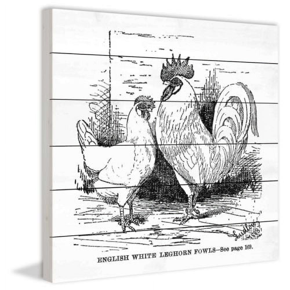 "White Leghorn" Painting Print on White Wood