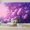 Color 6, variant on Wallpaper Soft Purple Floral Design Flowing Swirls Boho Spring Decor Peel and Stick Wall Murals 100"H x 144"W Removable PVC Wall Paper Self-Adhesive Wall Paintings Art Decor for Bedroom Living Room